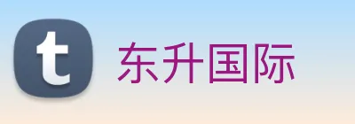 东升国际 logo